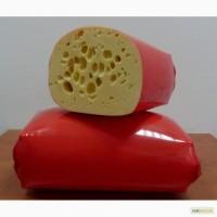 Продам сыр оптом, польский гауда, сырный продукт