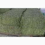 Продам люцерну в тюках будущий УКОС 2020 г
