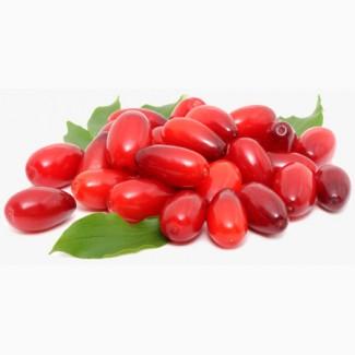 Куплю Кизил 30 грн