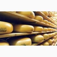 Продукт молоковмісний сирний