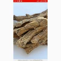 Куплю сухой корень кульбабы, лопуха, Аира, калгана, алтея