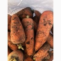 Продам Качество