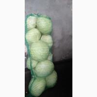 Продам капусту, сорт агресор
