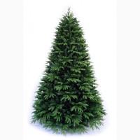 Продажа новогодних живых елок и сосен