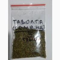 Таволга вязолистная (семена)