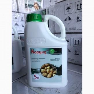 Корунд - інсектицидно-фунгіцидний протруйник насіння картоплі, зернових та ріпаку
