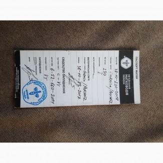 Пчеломатки, матки