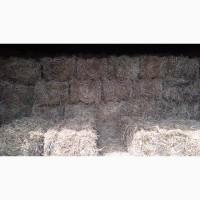 Сіно люцерни в квадратних тюках! Перший укос 2021р. Вага тюка 12-14кг