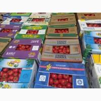 Продам овощи от производителя
