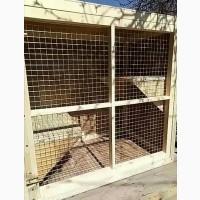 Вольер для животных из двух частей содержания и передержка котов