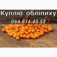 Закуповую дорого обліпиху!Можливий самовивіз