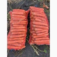 Продам моркву.Золочівський район