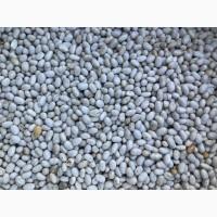 Продам квасолю Неві бінс