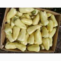 Продам перець оптом