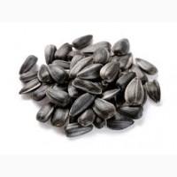 Куплю Соняшник по Україні