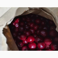 Продам вишню з кісточкою шокової заморозки 2025 р.в