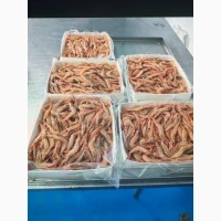 Продам креветку глибоководну!сиру