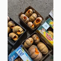 Продам гарбуз