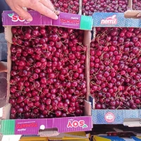 Продам черешню