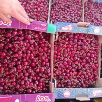 Продам черешню