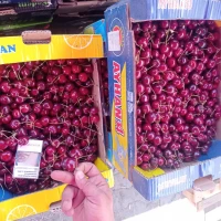 Продам черешню