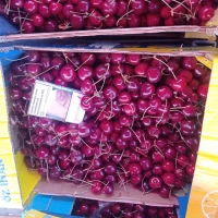 Продам черешню