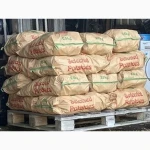Продаж картопля партія від господарства оптом від 5 тонн Хмельницька обл