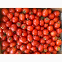Продам помідор