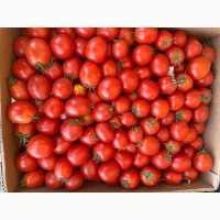Продам помідор