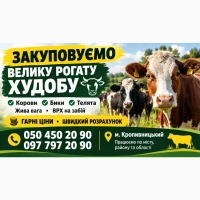 Закуповуємо ВРХ