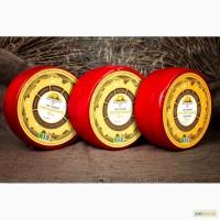 Натуральный Сыр в ассортименте от производителя