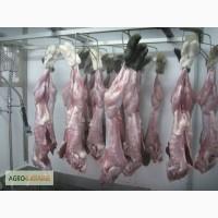 Продам тушку кроля опт