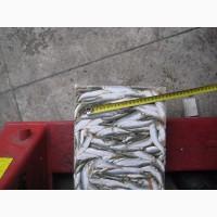 Свежемороженая Килька и Салака