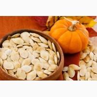 Проодам семена тыквы 10 т укранская многоплодная