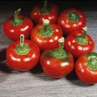 Продам семена Перец Черри красный острый