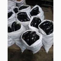 Продам баклажан