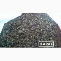 Продам шрот подсолнечный