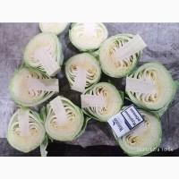Продам капусту белокочанную 2 сорта.От производителя