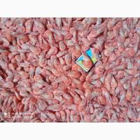 Креветка гамуз крупная и мелочь, качество хорошее