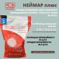 Високоурожайний гібрид соняшника НЕЙМАР ПЛЮС OR7, висока стійкість до вовчка