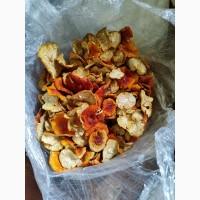 Мухомор красный, сухой