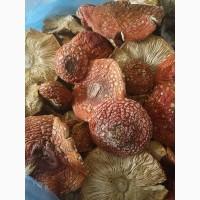Мухомор красный, сухой