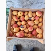 Продам грушу