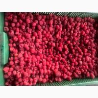 Куплю малину на заморозку