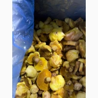 Продам гриб маслюк очищений заморожений