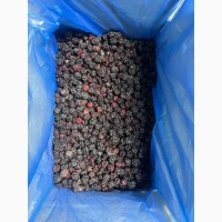 Ожина заморожена лісна та культивавана ПРОДАМ