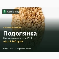 Пшениця Подолянка - насіння озимої пшениці, супереліта, еліта, РН-1, від 14 800 грн/т