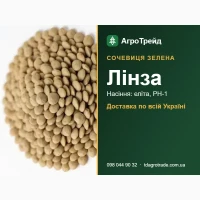 С0рт08е нвсіння 3елен0ї с04е8иці Лін3в