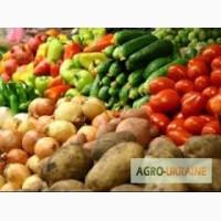 Органічне добриво на основі курячого посліду