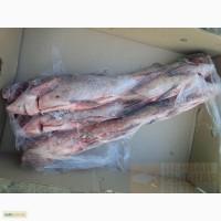 Продам тушку толстолобика с/м